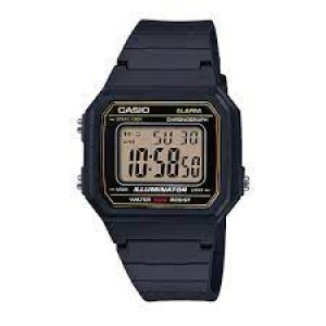 Casio Watch W-217H-9A
